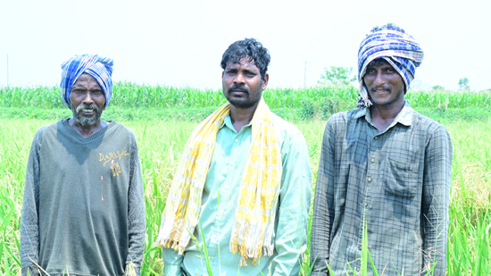 Support A Farmer